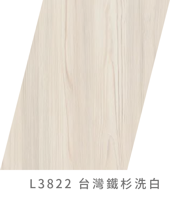 L3822台灣鐵杉洗白